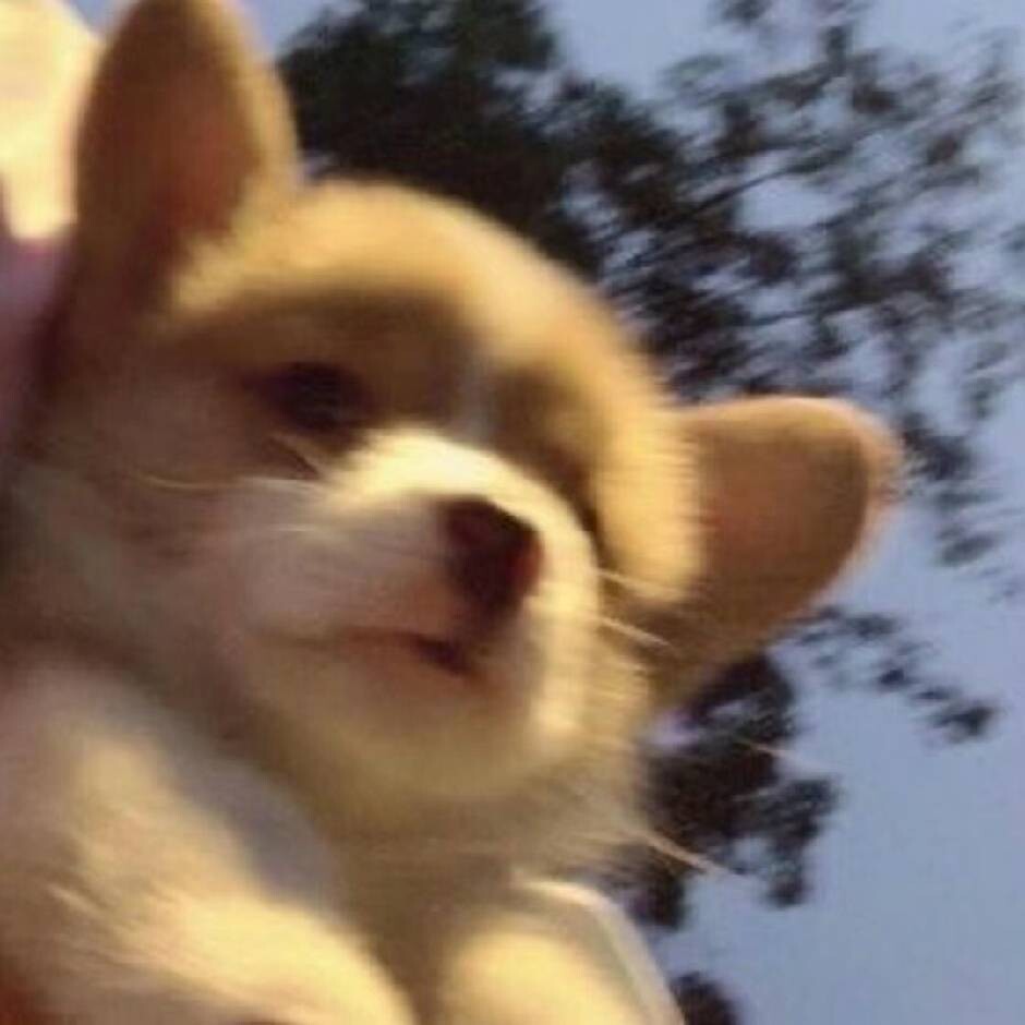 博主头像
